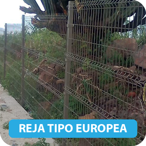 Reja Tipo Europea